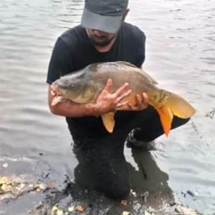Profil de Cedrigue